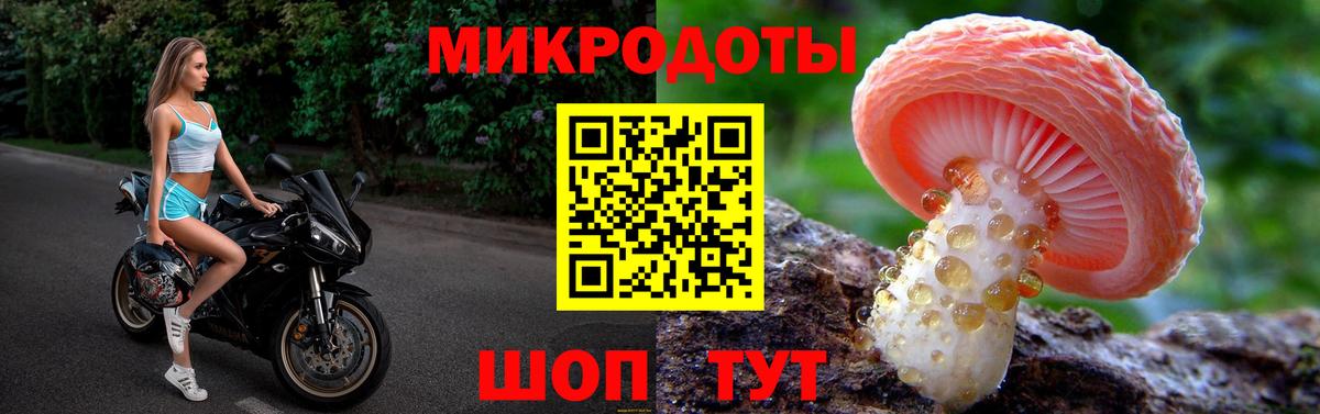 Осинники  Галлюциногенные грибы Psilocybine cubensis  Вход с VPN 